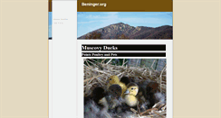 Desktop Screenshot of beninger.org